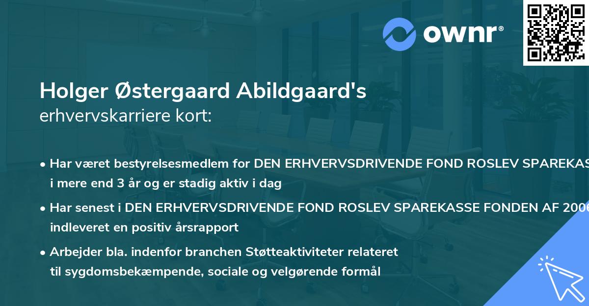 Holger Østergaard Abildgaard's erhvervskarriere kort