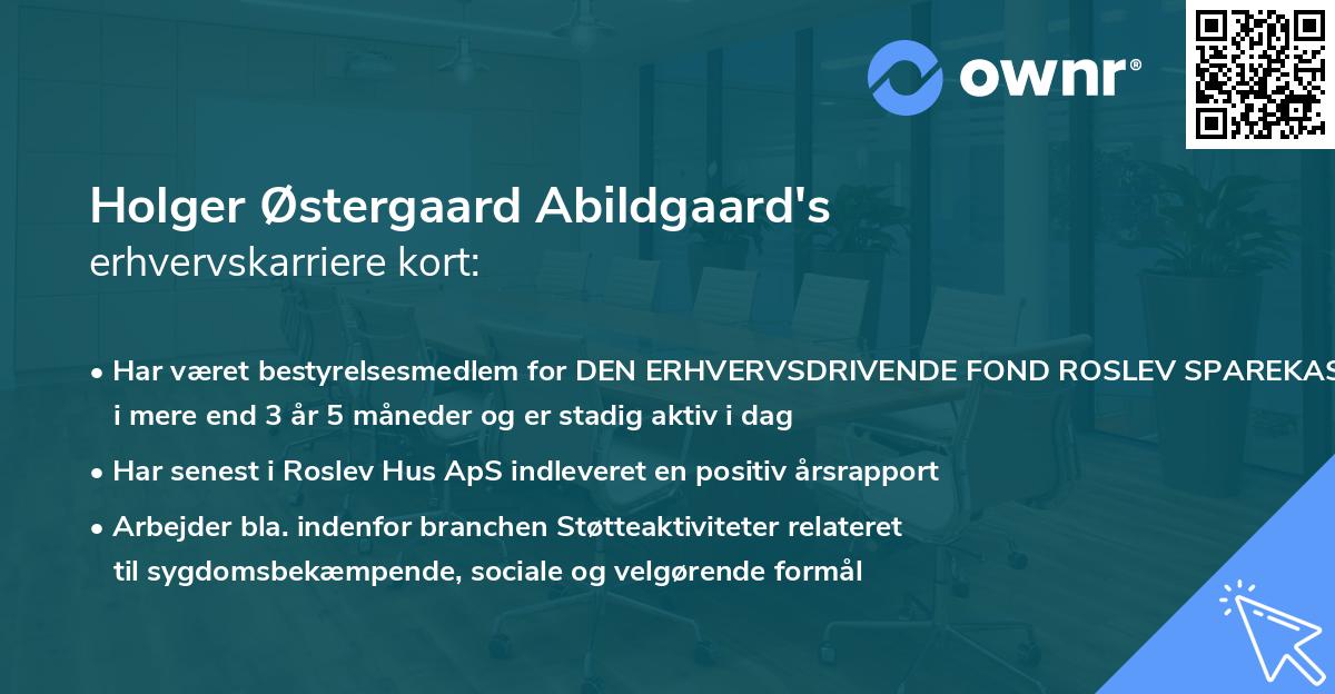Holger Østergaard Abildgaard's erhvervskarriere kort