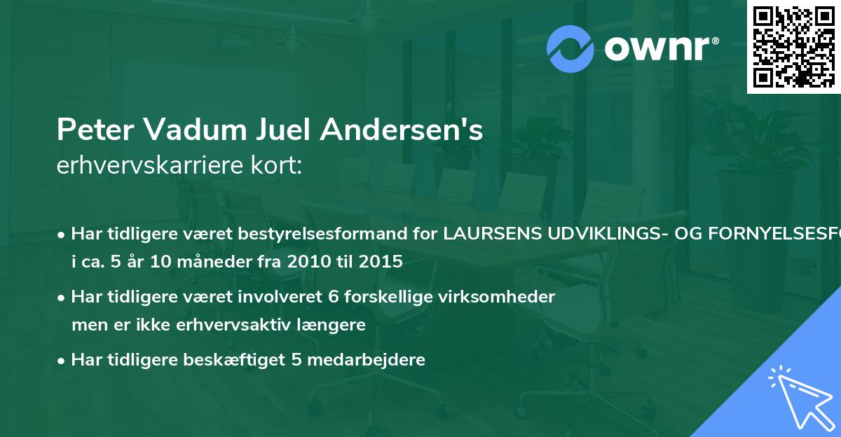 Peter Vadum Juel Andersen's erhvervskarriere kort