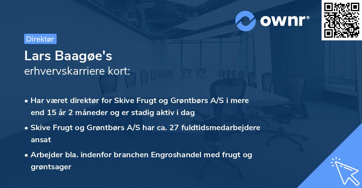 Lars Baagøe's erhvervskarriere kort