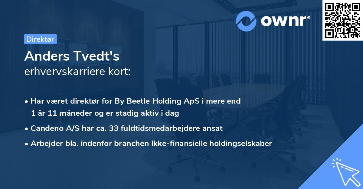 Anders Tvedt's erhvervskarriere kort