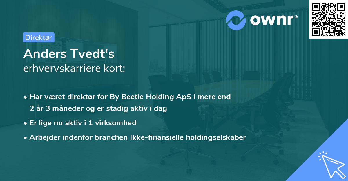 Anders Tvedt's erhvervskarriere kort