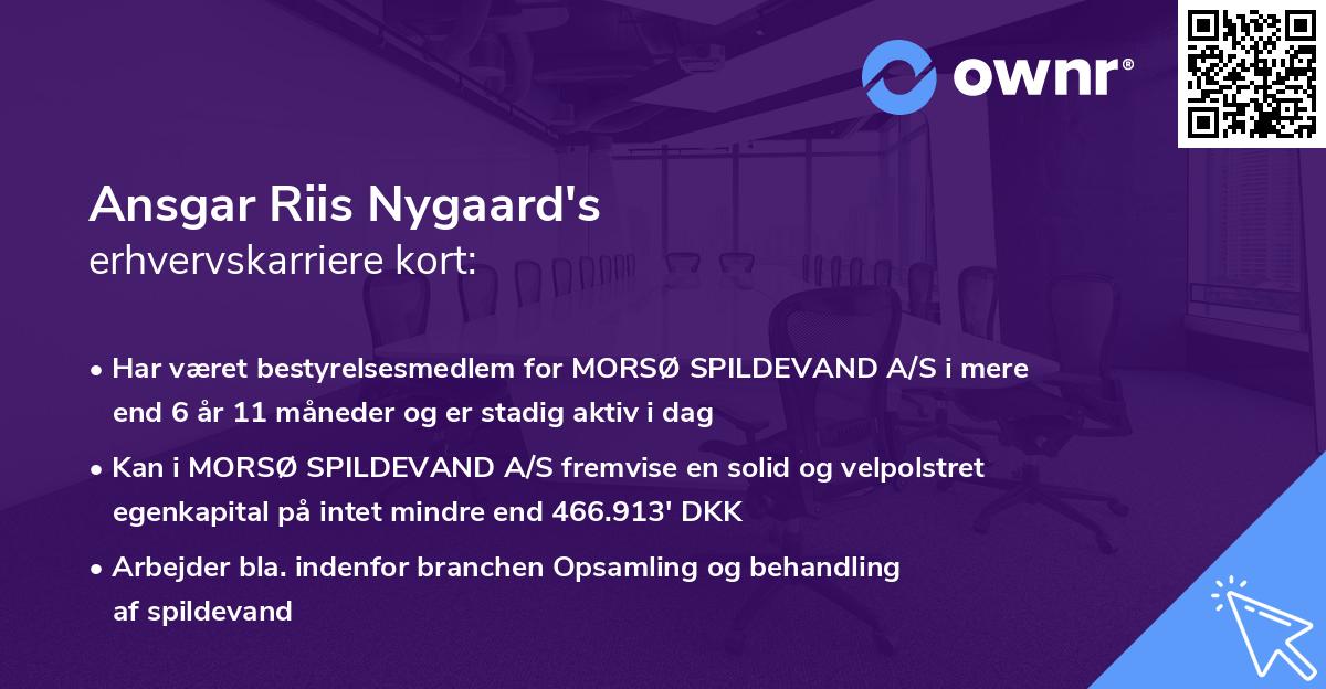 Ansgar Riis Nygaard's erhvervskarriere kort