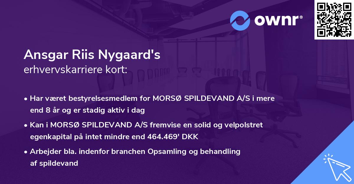 Ansgar Riis Nygaard's erhvervskarriere kort