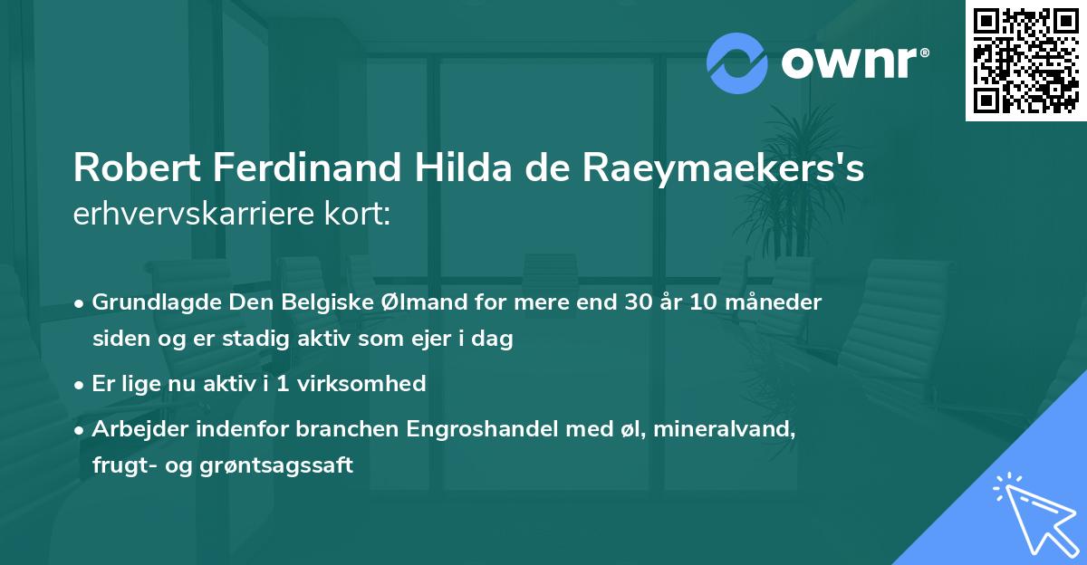 Robert Ferdinand Hilda de Raeymaekers's erhvervskarriere kort