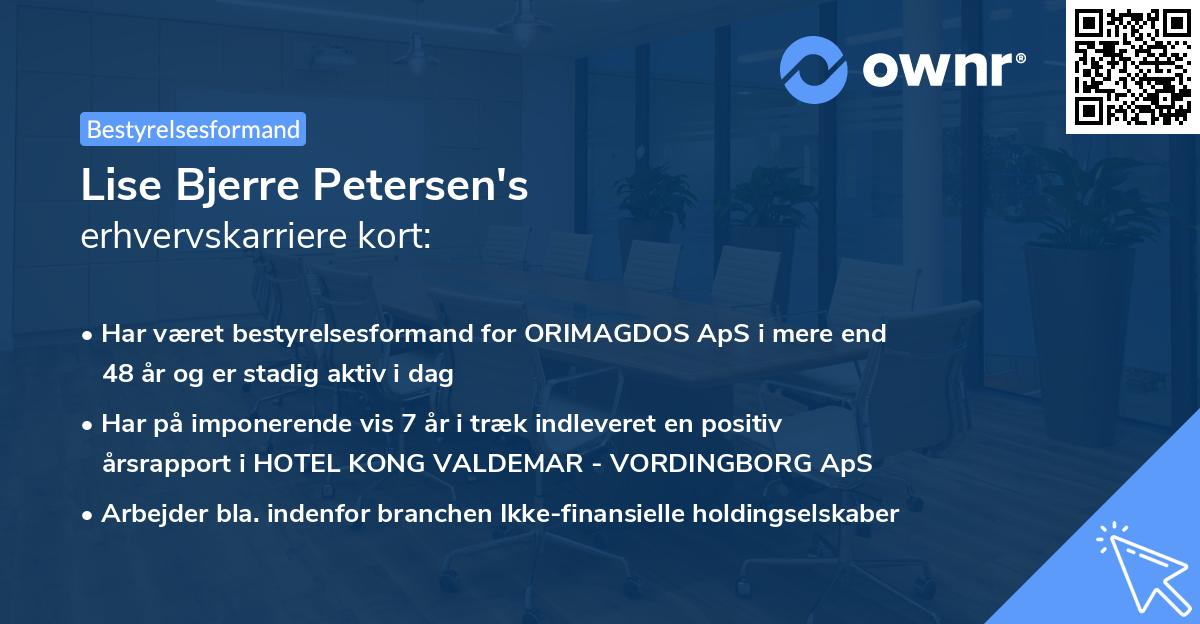 Lise Bjerre Petersen's erhvervskarriere kort