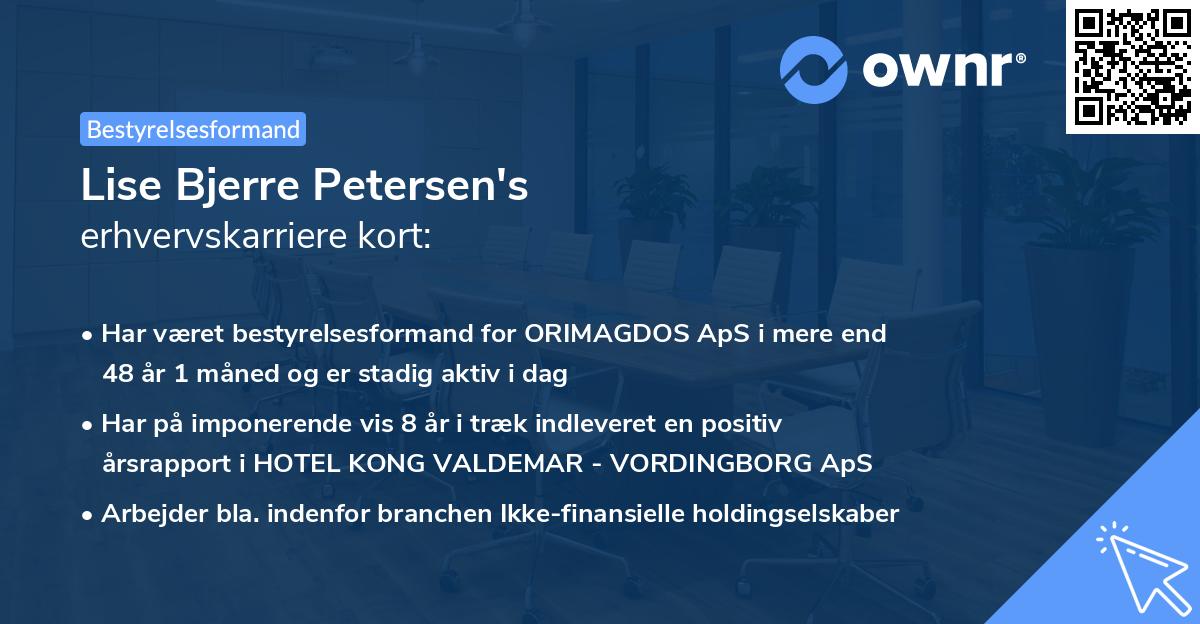 Lise Bjerre Petersen's erhvervskarriere kort