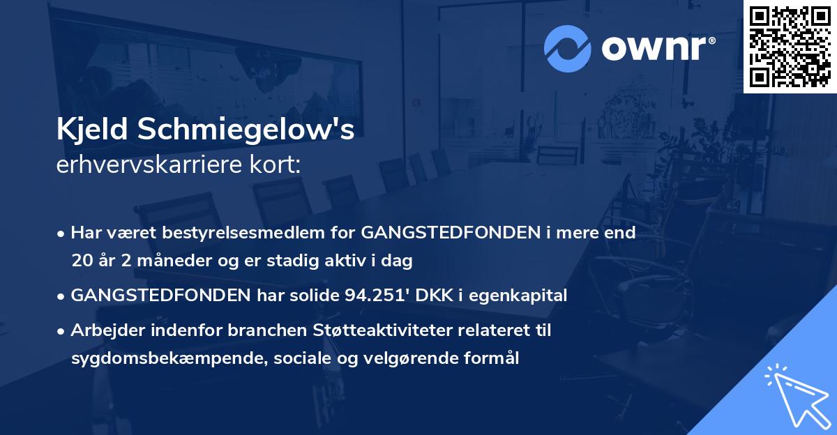 Kjeld Schmiegelow's erhvervskarriere kort