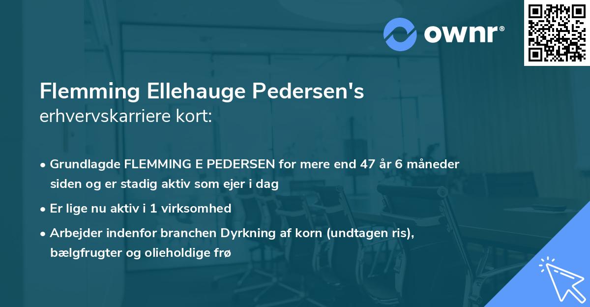 Flemming Ellehauge Pedersen's erhvervskarriere kort