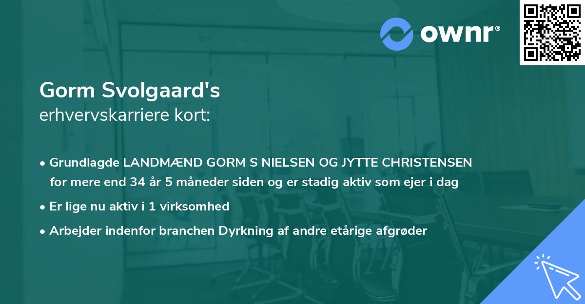 Gorm Svolgaard's erhvervskarriere kort