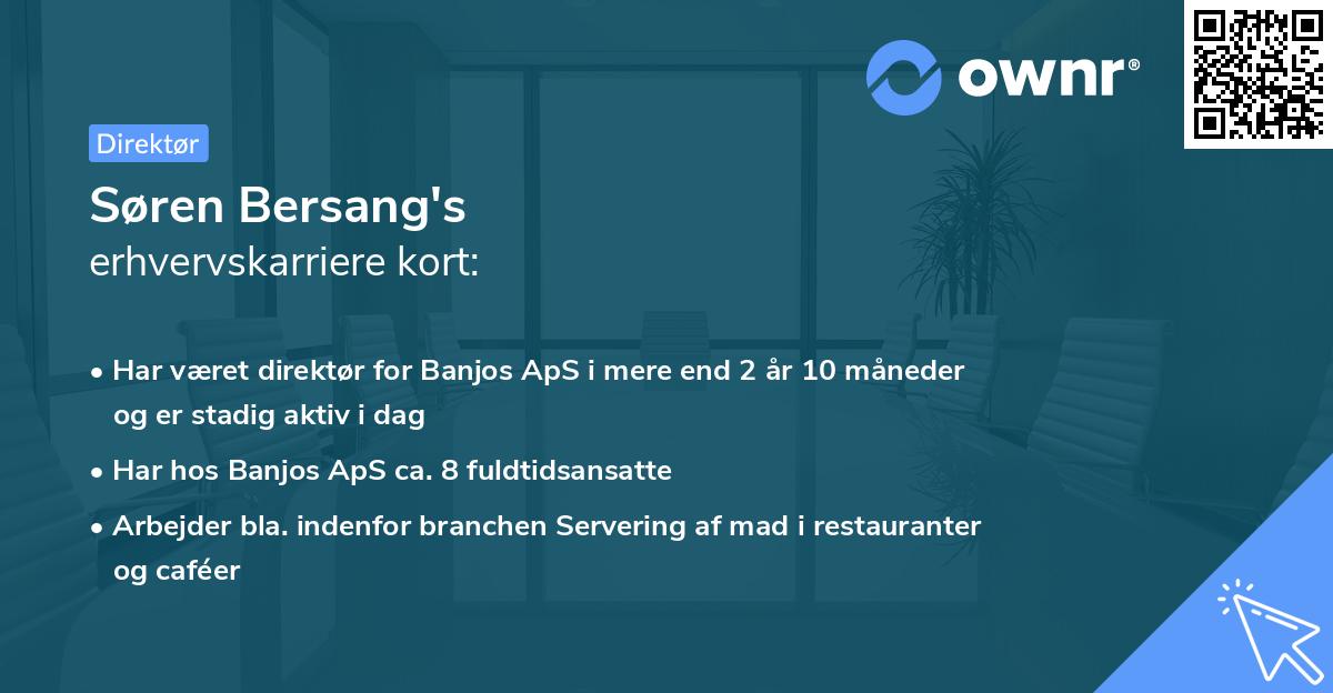 Søren Bersang's erhvervskarriere kort