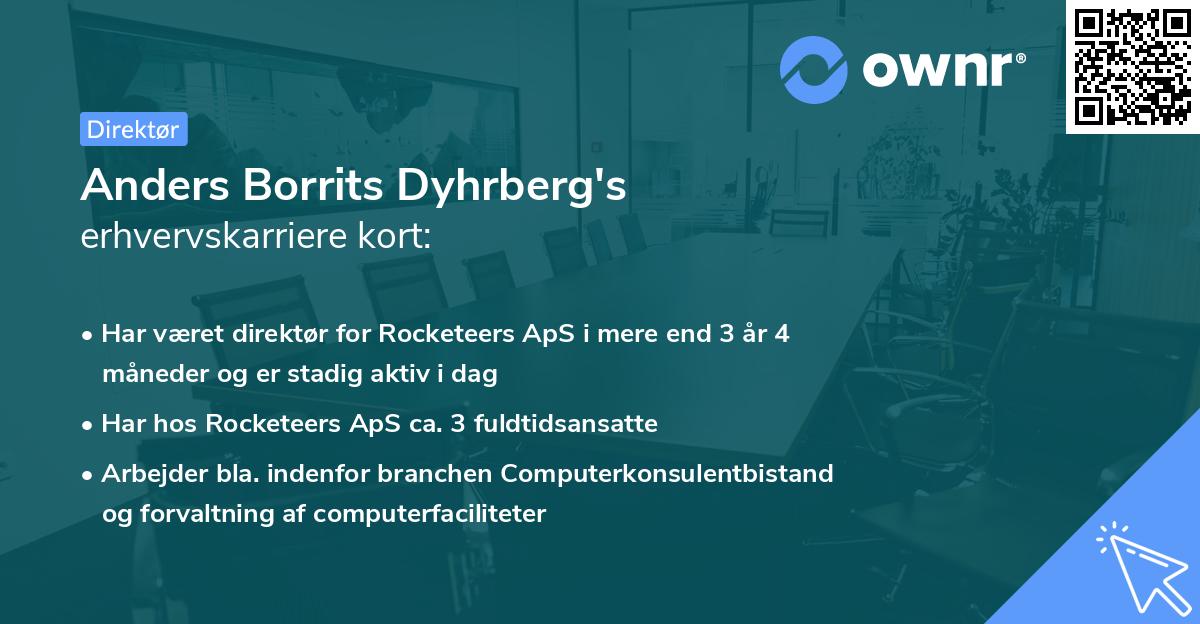 Anders Borrits Dyhrberg's erhvervskarriere kort
