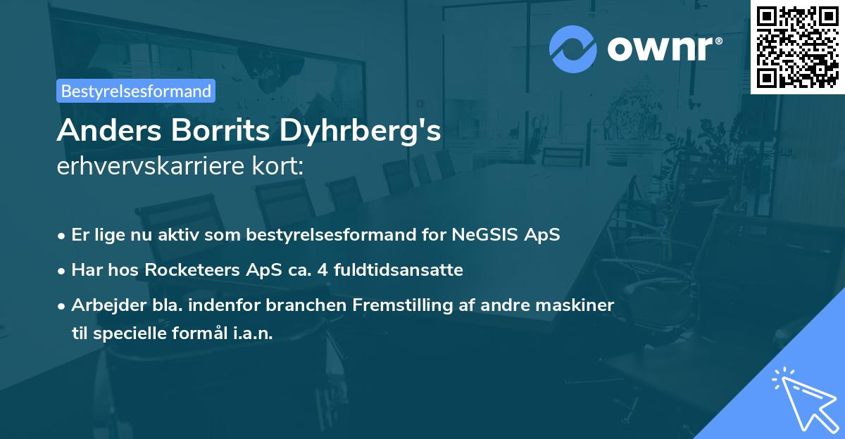 Anders Borrits Dyhrberg's erhvervskarriere kort