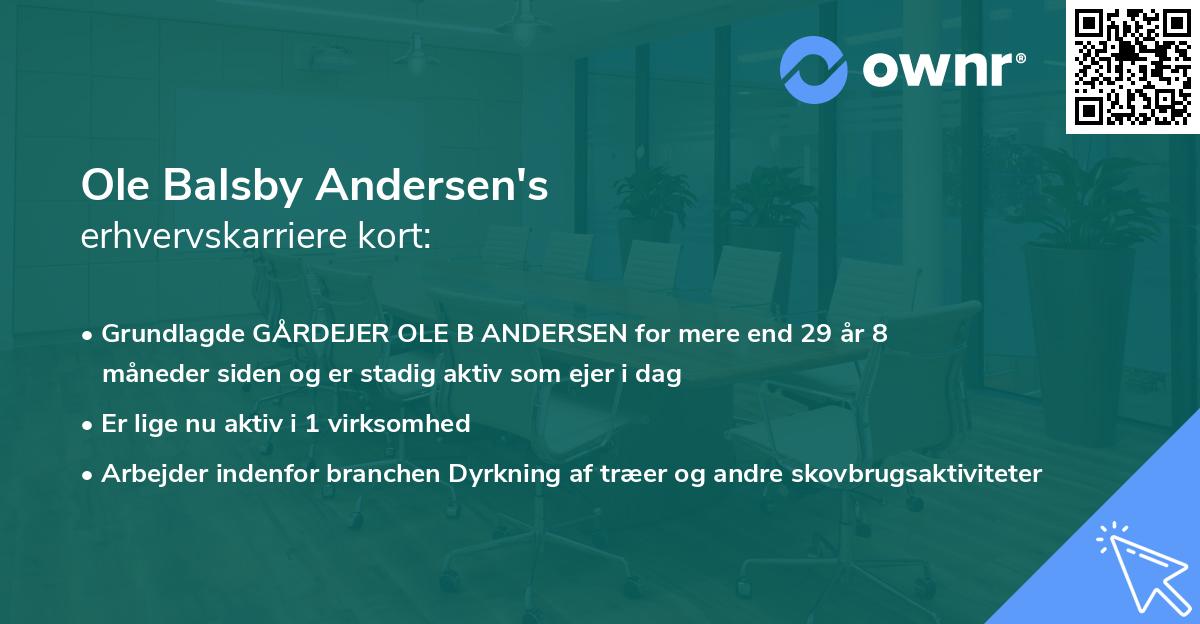 Ole Balsby Andersen's erhvervskarriere kort
