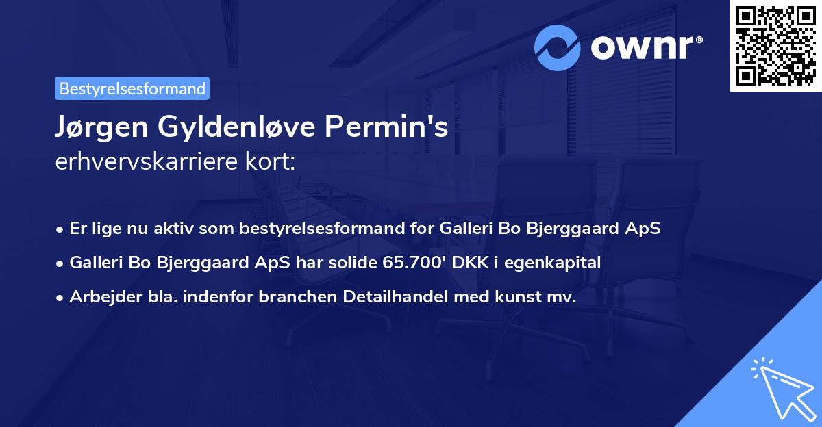Jørgen Gyldenløve Permin's erhvervskarriere kort