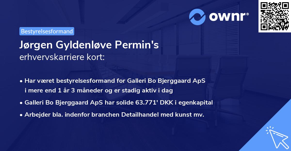 Jørgen Gyldenløve Permin's erhvervskarriere kort