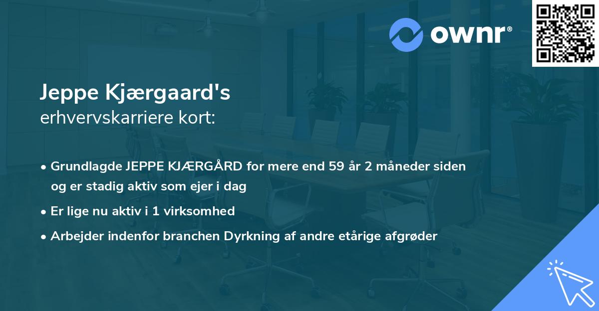 Jeppe Kjærgaard's erhvervskarriere kort