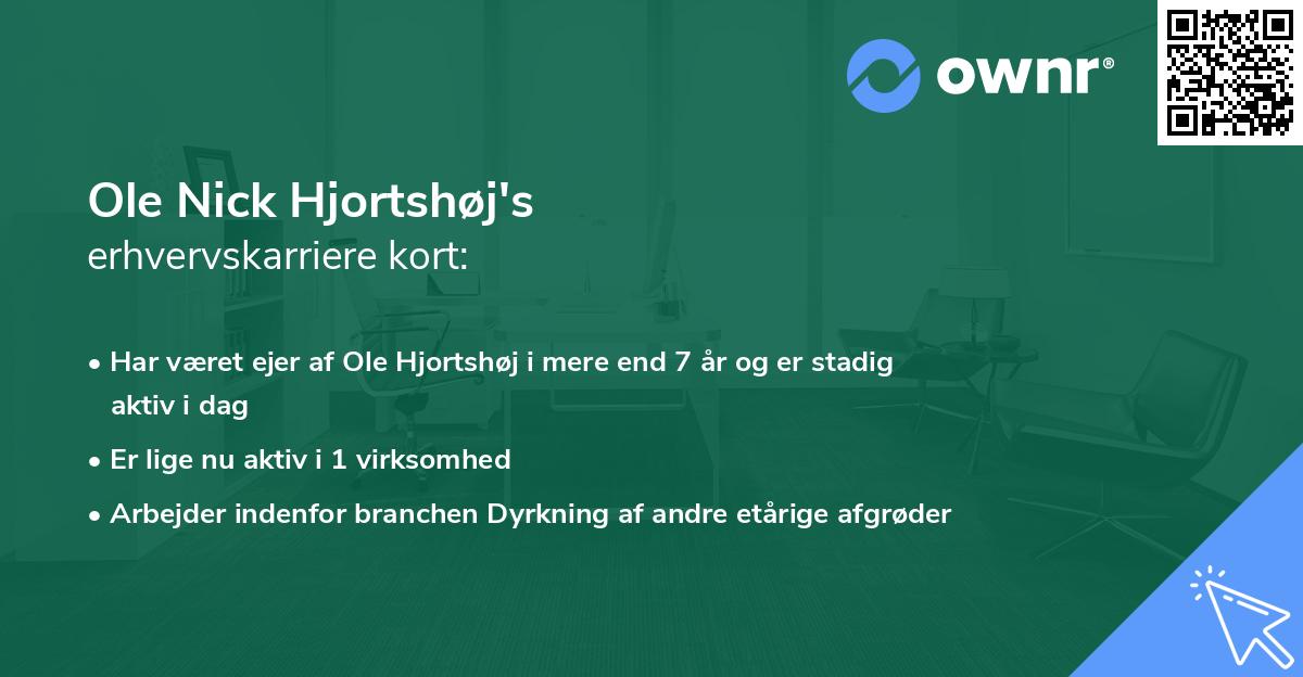 Ole Nick Hjortshøj's erhvervskarriere kort