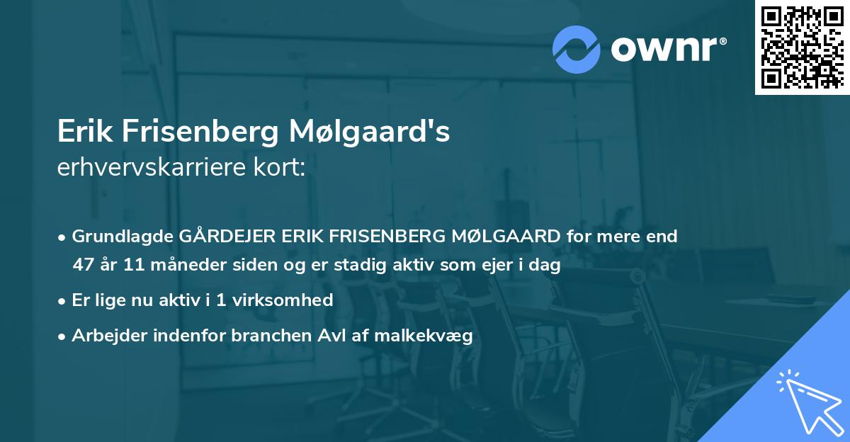 Erik Frisenberg Mølgaard's erhvervskarriere kort