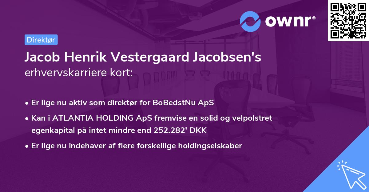Jacob Henrik Vestergaard Jacobsen's erhvervskarriere kort