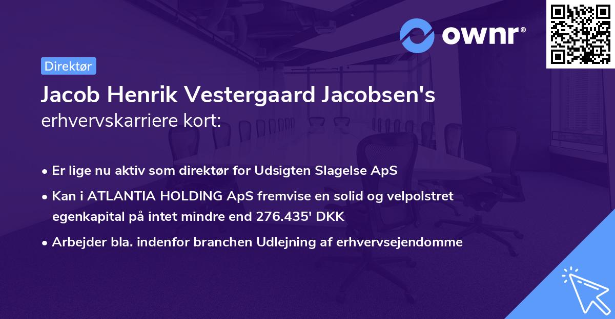 Jacob Henrik Vestergaard Jacobsen's erhvervskarriere kort