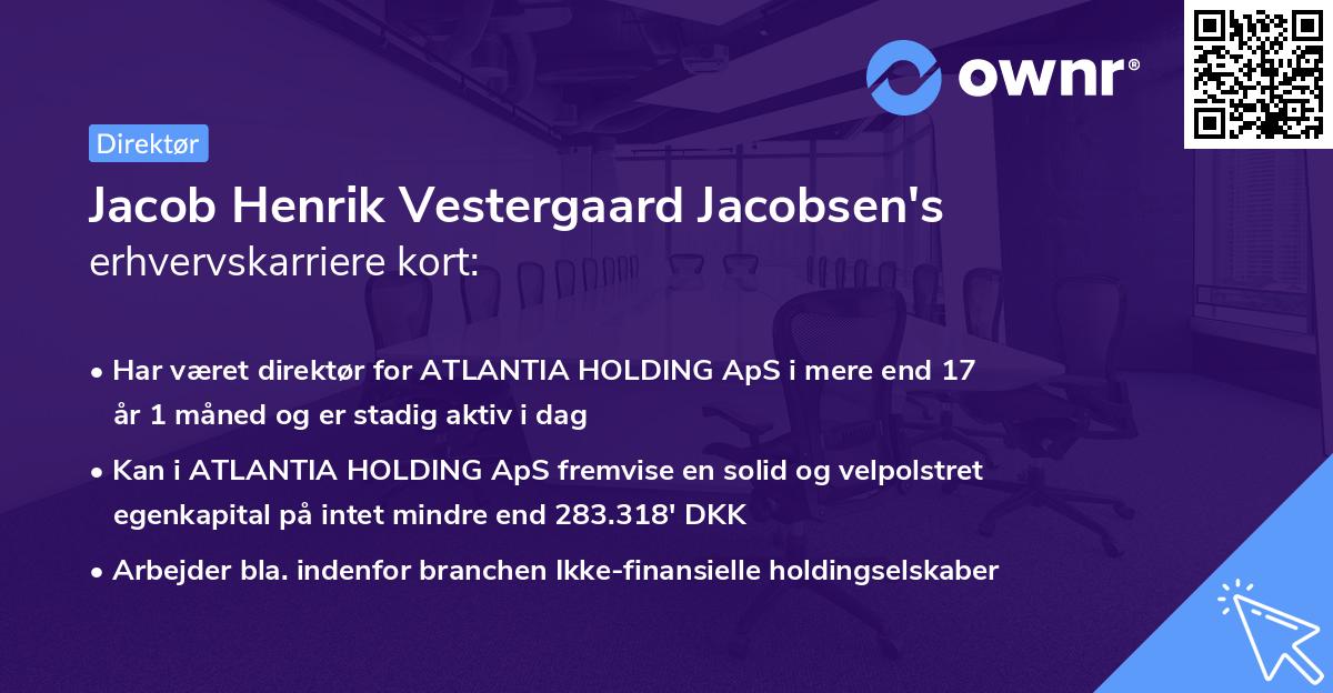Jacob Henrik Vestergaard Jacobsen's erhvervskarriere kort