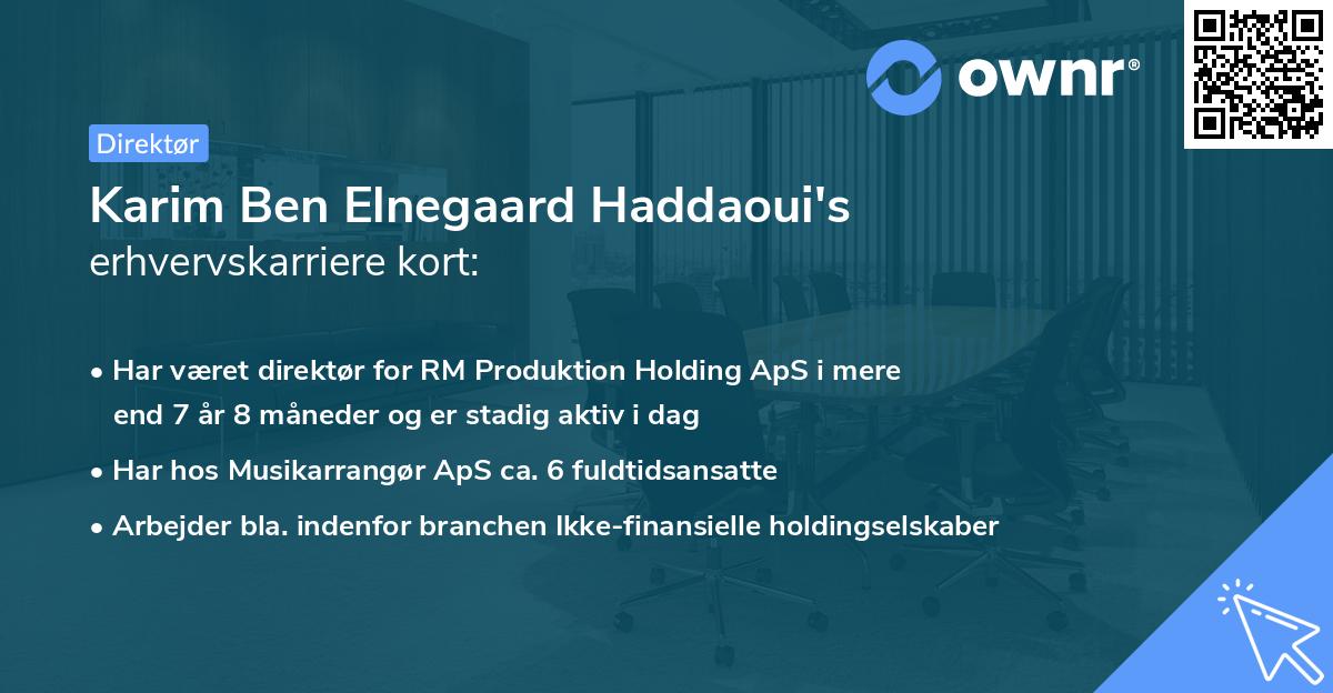 Karim Ben Elnegaard Haddaoui's erhvervskarriere kort