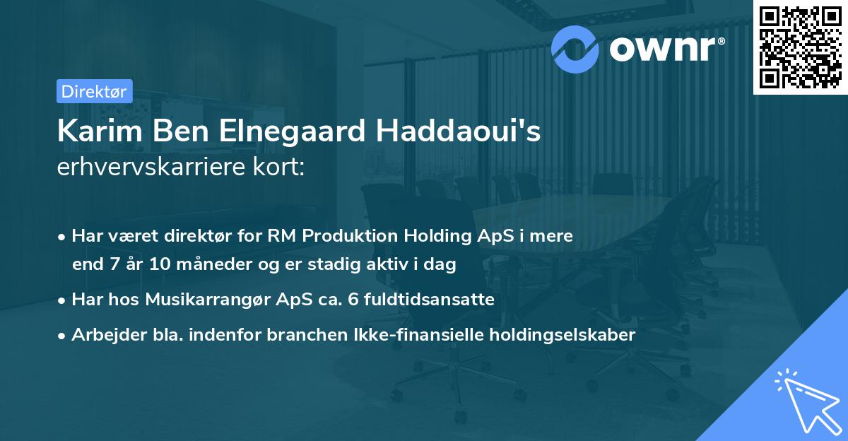Karim Ben Elnegaard Haddaoui's erhvervskarriere kort
