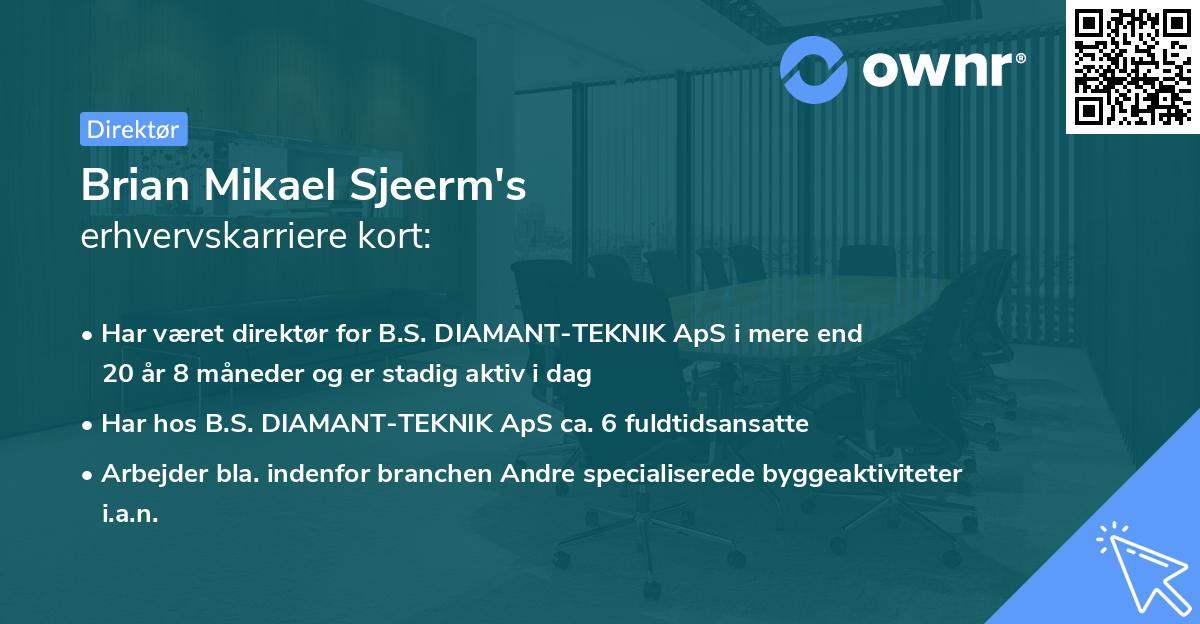 Brian Mikael Sjeerm's erhvervskarriere kort