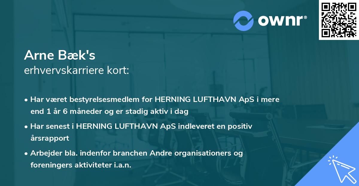 Arne Bæk's erhvervskarriere kort