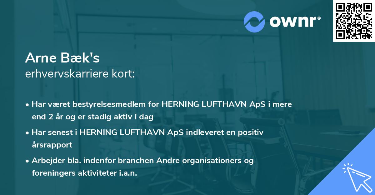 Arne Bæk's erhvervskarriere kort