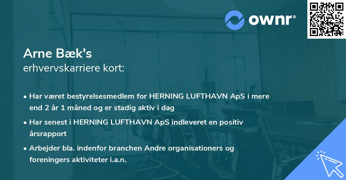 Arne Bæk's erhvervskarriere kort