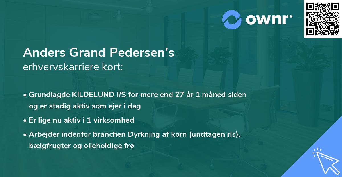 Anders Grand Pedersen's erhvervskarriere kort