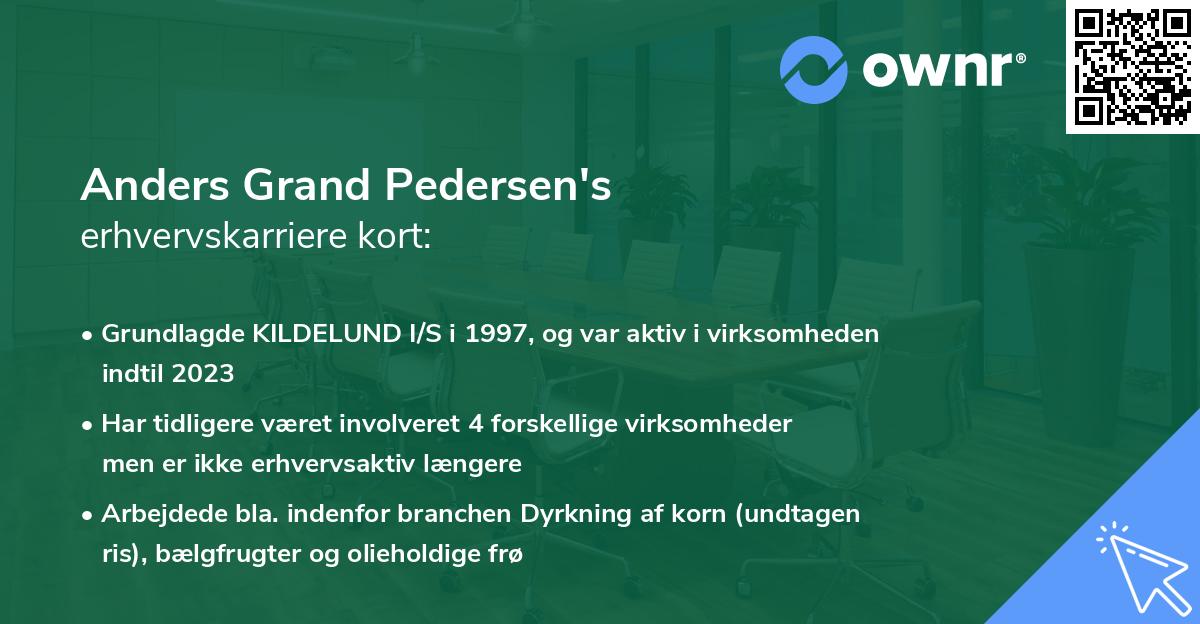 Anders Grand Pedersen's erhvervskarriere kort