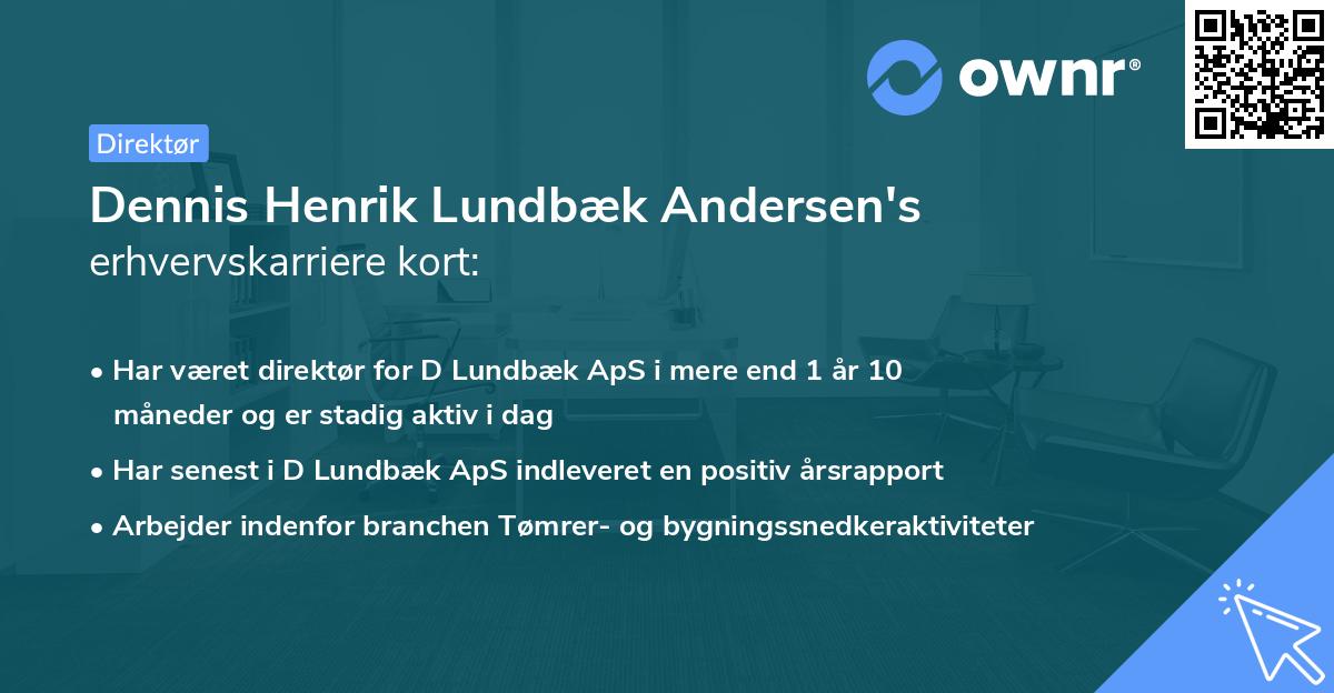 Dennis Henrik Lundbæk Andersen's erhvervskarriere kort