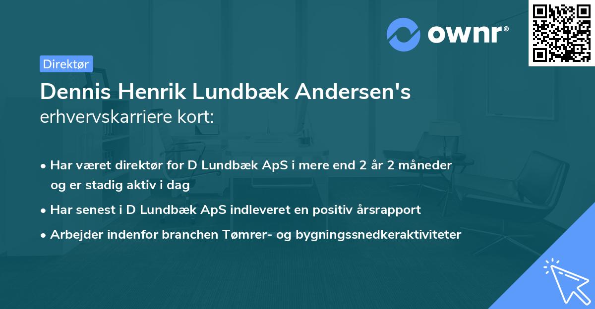 Dennis Henrik Lundbæk Andersen's erhvervskarriere kort
