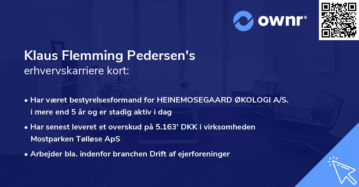 Klaus Flemming Pedersen's erhvervskarriere kort
