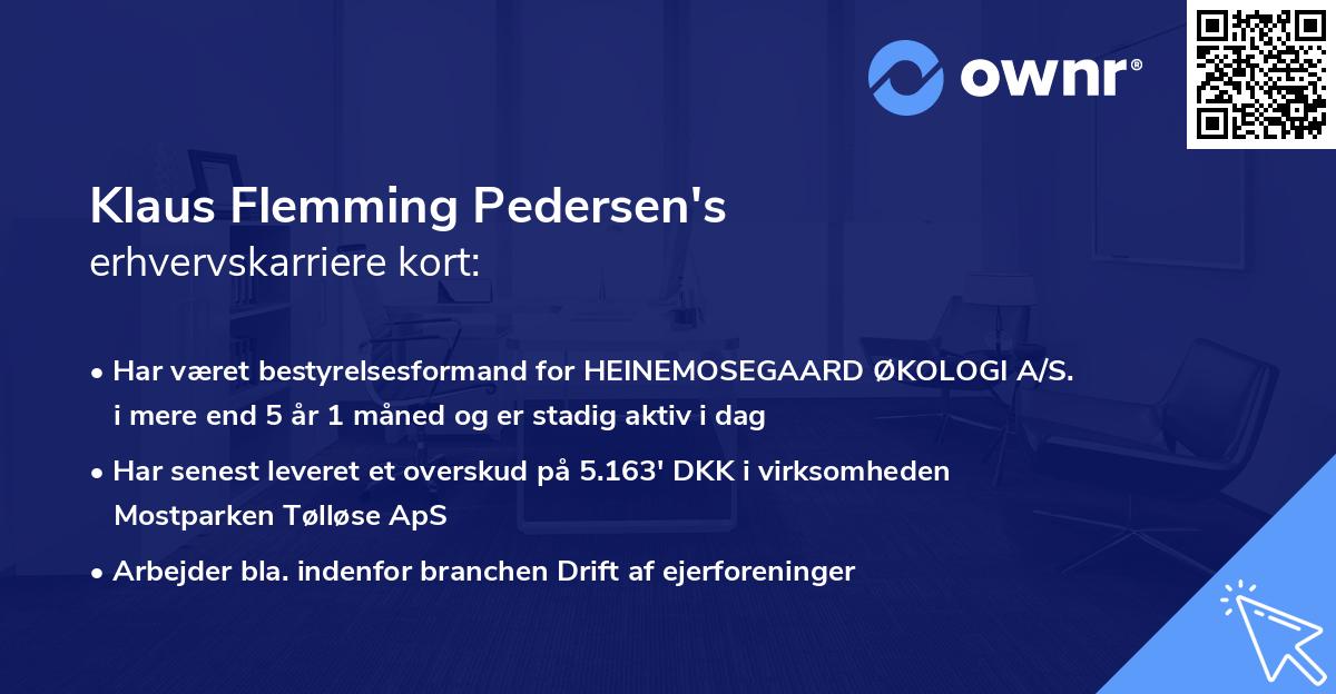 Klaus Flemming Pedersen's erhvervskarriere kort