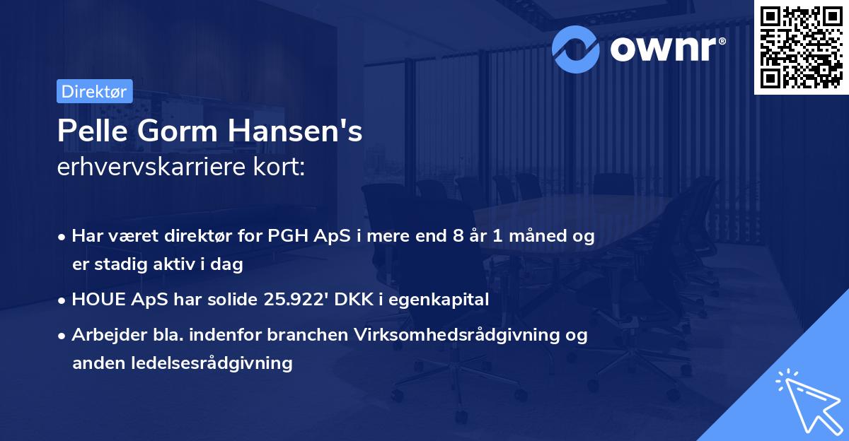Pelle Gorm Hansen's erhvervskarriere kort