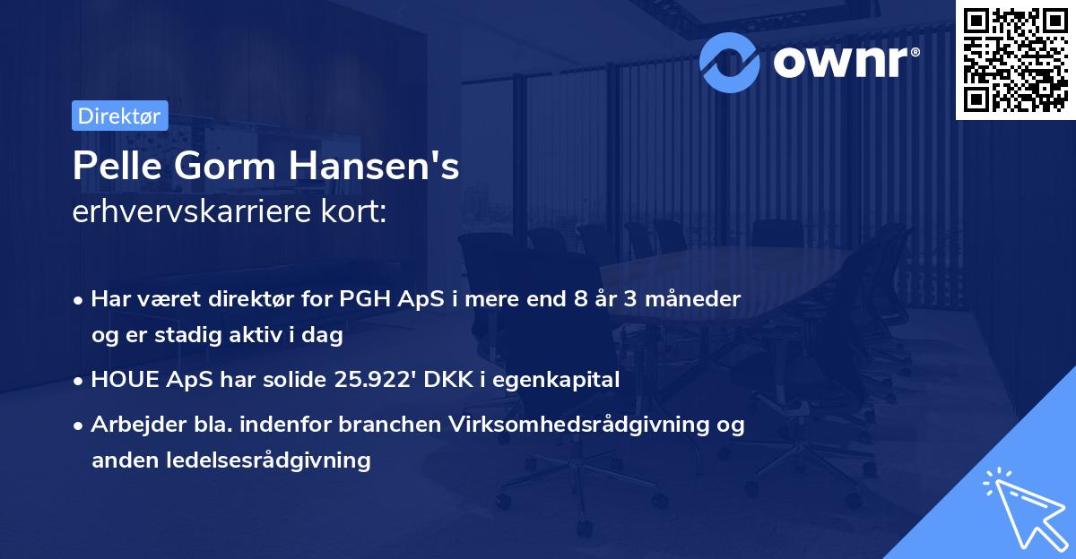 Pelle Gorm Hansen's erhvervskarriere kort