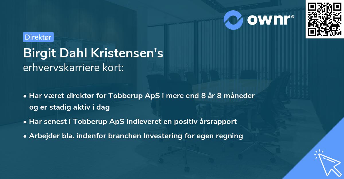 Birgit Dahl Kristensen's erhvervskarriere kort