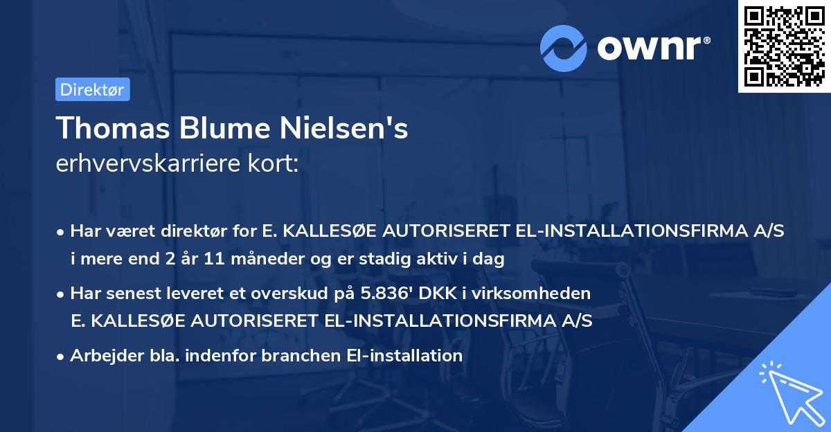 Thomas Blume Nielsen's erhvervskarriere kort