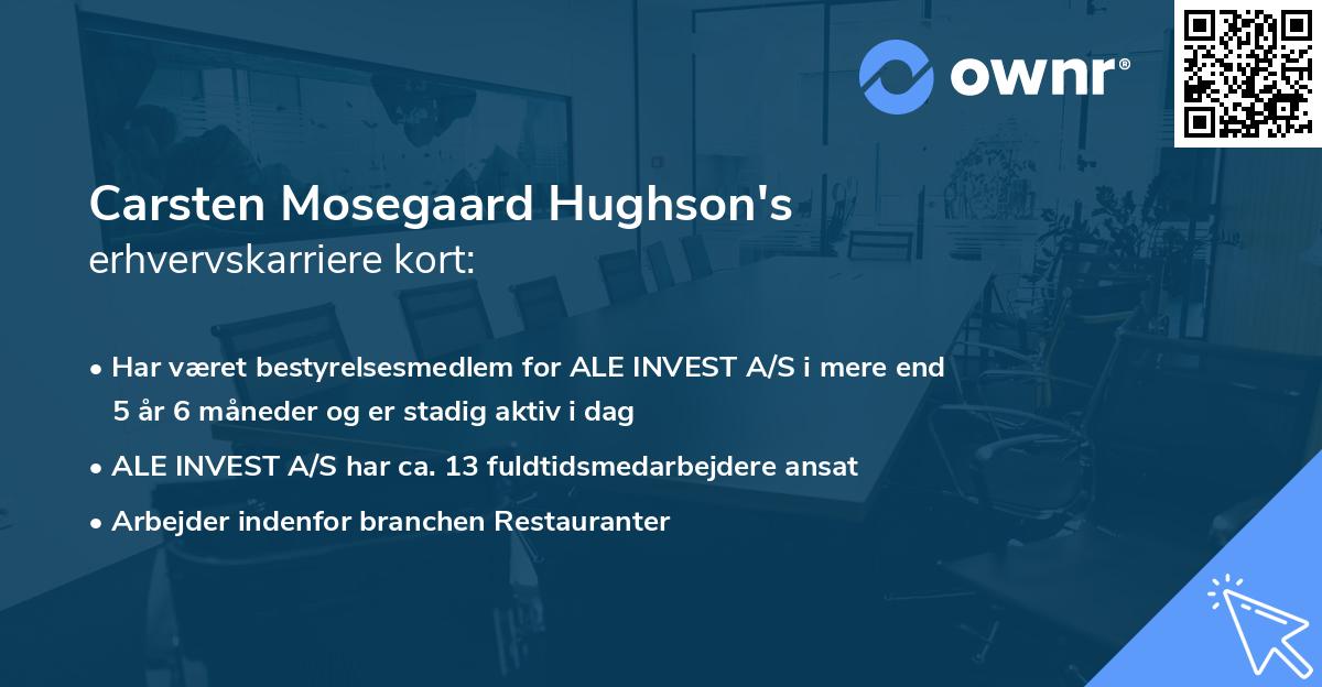 Carsten Mosegaard Hughson's erhvervskarriere kort