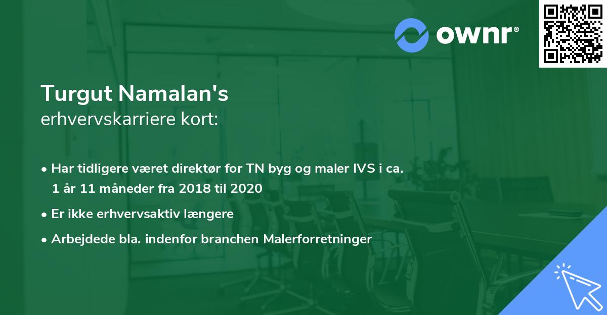 Turgut Namalan's erhvervskarriere kort