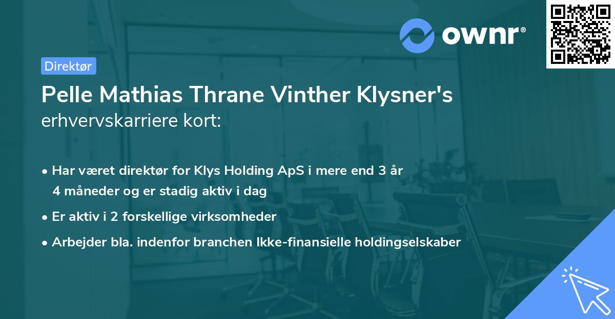 Pelle Mathias Thrane Vinther Klysner's erhvervskarriere kort