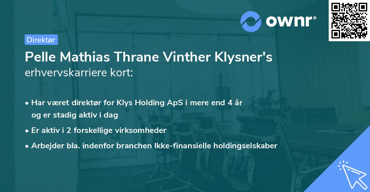 Pelle Mathias Thrane Vinther Klysner's erhvervskarriere kort