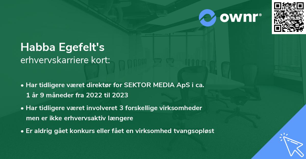 Habba Egefelt's erhvervskarriere kort