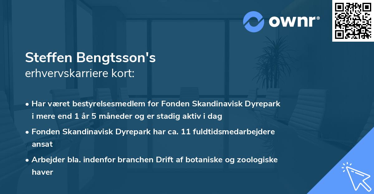Steffen Bengtsson's erhvervskarriere kort
