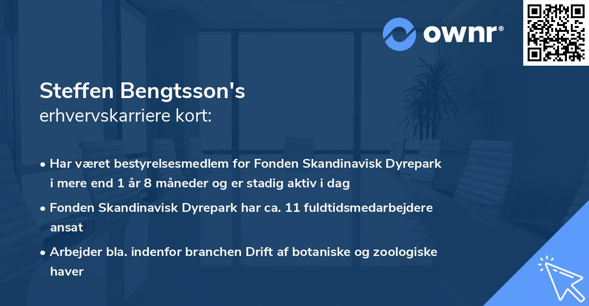 Steffen Bengtsson's erhvervskarriere kort