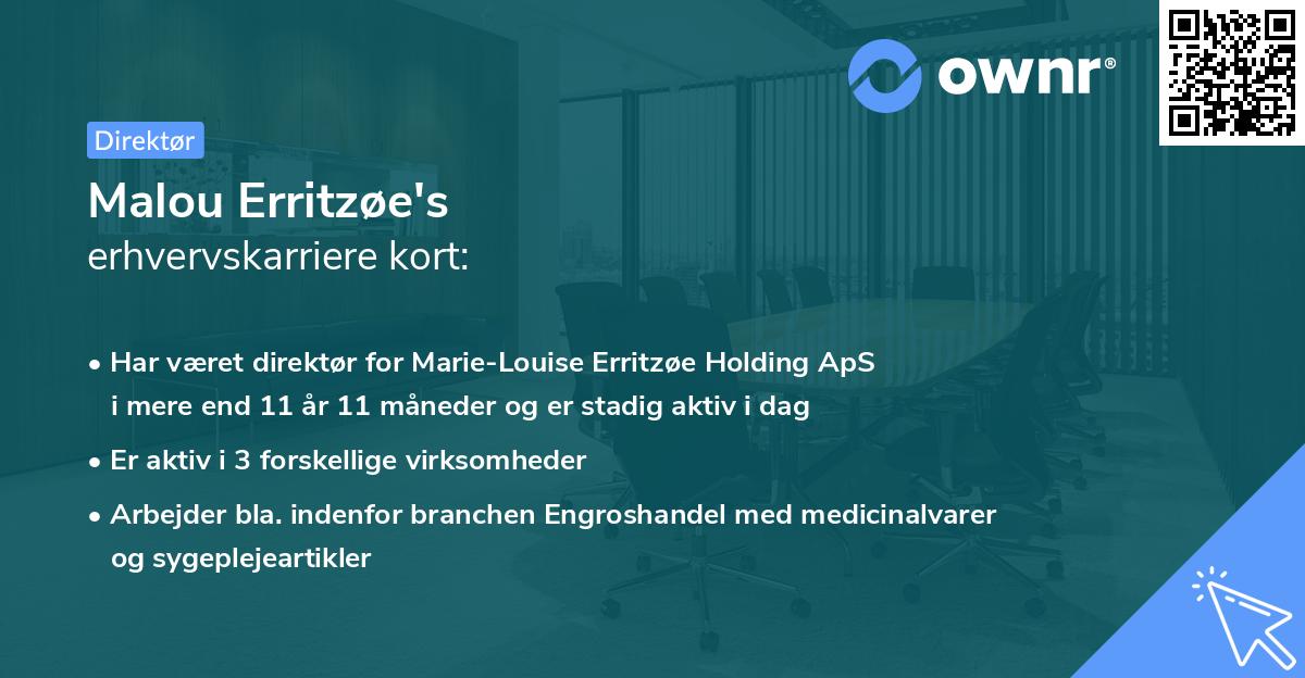 Malou Erritzøe's erhvervskarriere kort